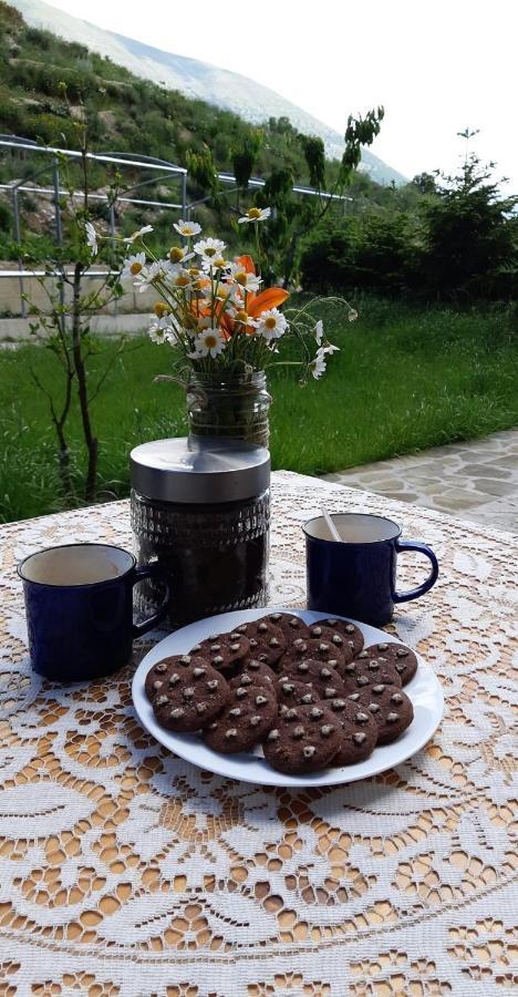 Bujtina Hader Xhebro Hostel Tepelene ภายนอก รูปภาพ