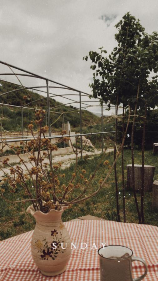 Bujtina Hader Xhebro Hostel Tepelene ภายนอก รูปภาพ