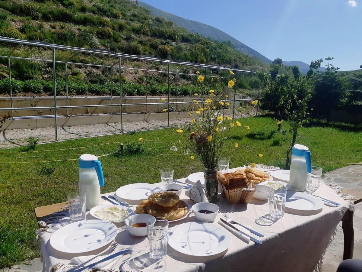 Bujtina Hader Xhebro Hostel Tepelene ภายนอก รูปภาพ