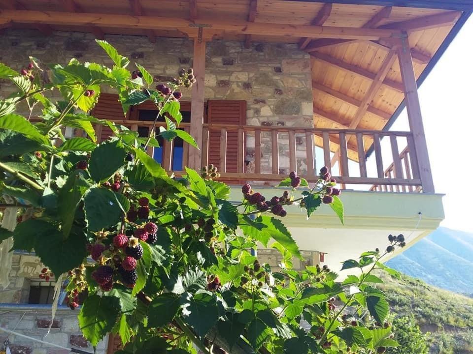 Bujtina Hader Xhebro Hostel Tepelene ภายนอก รูปภาพ
