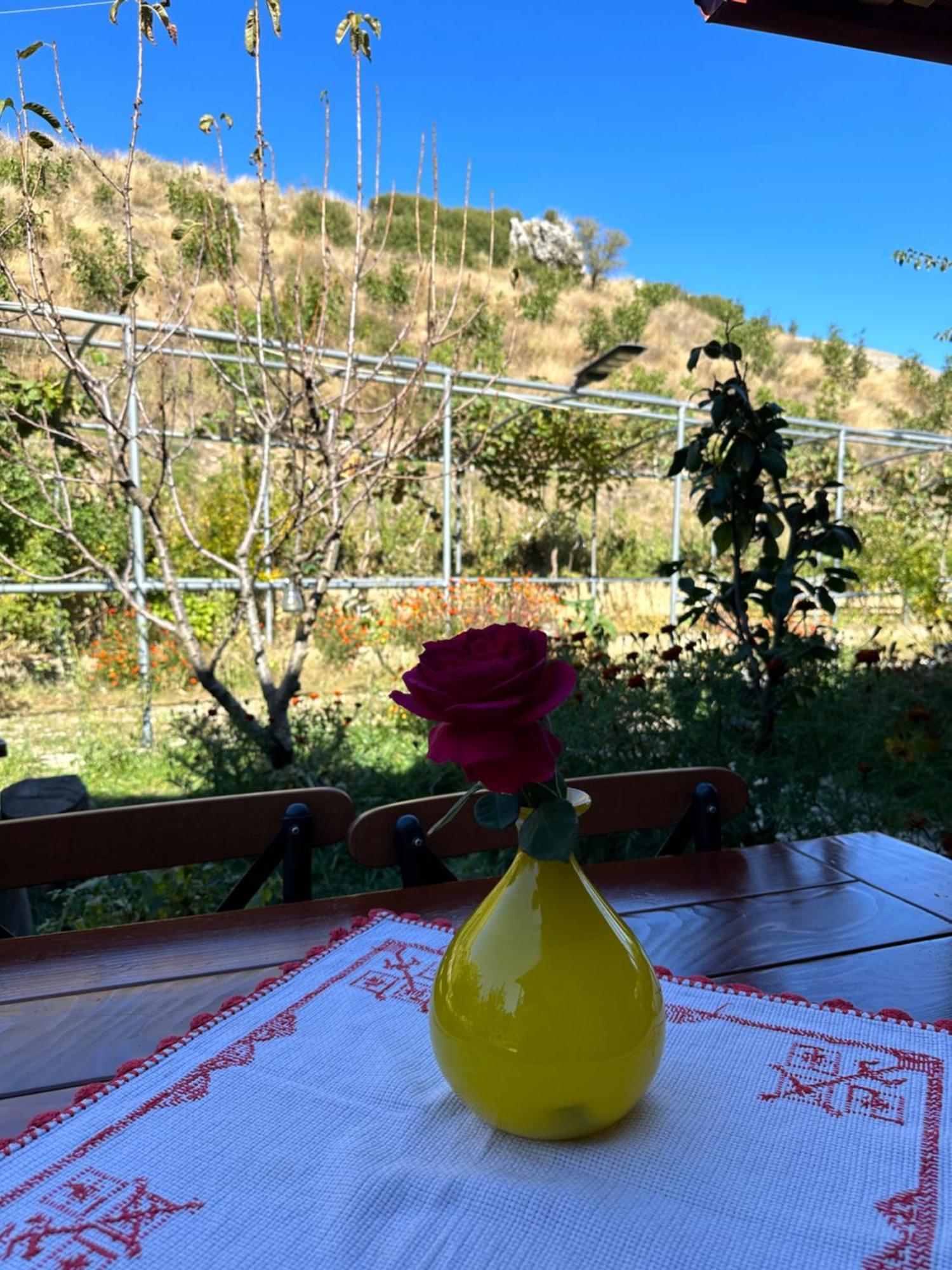 Bujtina Hader Xhebro Hostel Tepelene ภายนอก รูปภาพ